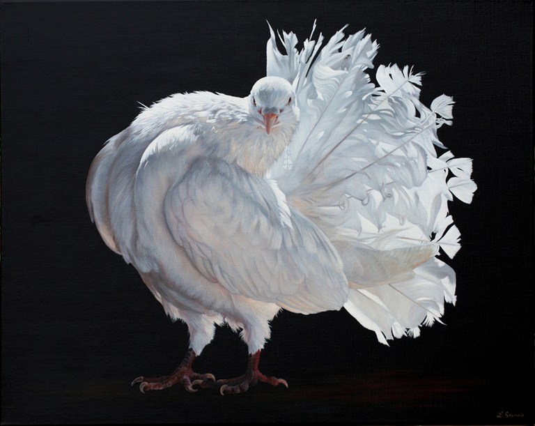 "Esperanto" tableau représentant un pigeon réalisé par Laurence Saunois, artiste peintre animalier