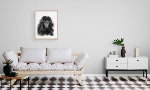 Dessin de chimpanzé, living room, peintre animalier Laurence Saunois
