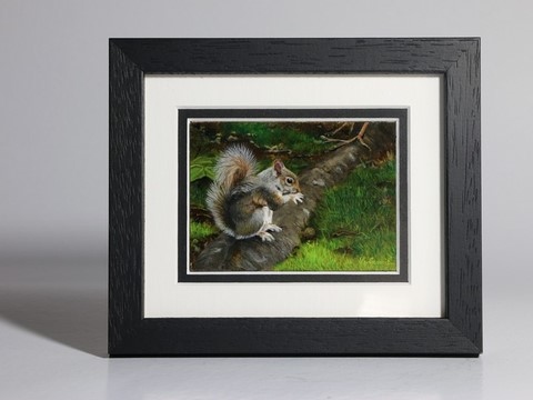 Miniature painting of a squirrel (front frame) by animal artist Laurence Saunois
