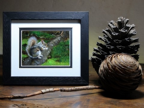 Miniature painting of a squirrel framed by the animal artist Laurence Saunois