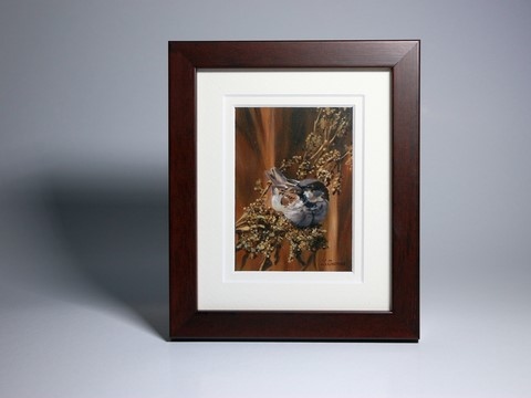 Framed miniature painting of sparrow : wildlife artist Laurence Saunois