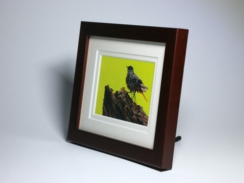 Framed miniature painting of a red-tail : wildlife artist Laurence Saunois