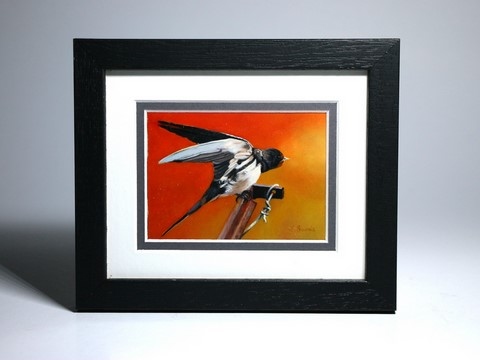 Framed miniature painting of swallow : wildlife artist Laurence Saunois