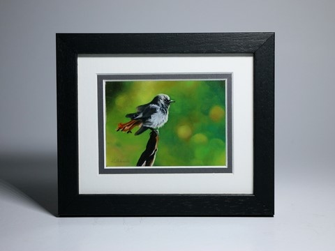 Framed miniature painting of Red-tail : wildlife artist Laurence Saunois