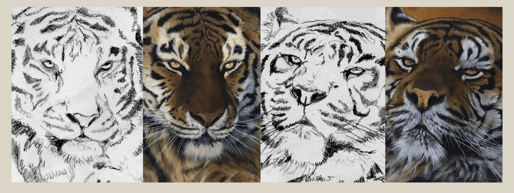 Croquis et peintures par la peintre animalier Laurence Saunois