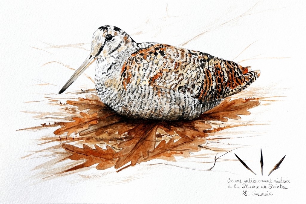 Woodcock realized with the woodcock feather by Laurence Saunois, animal artist