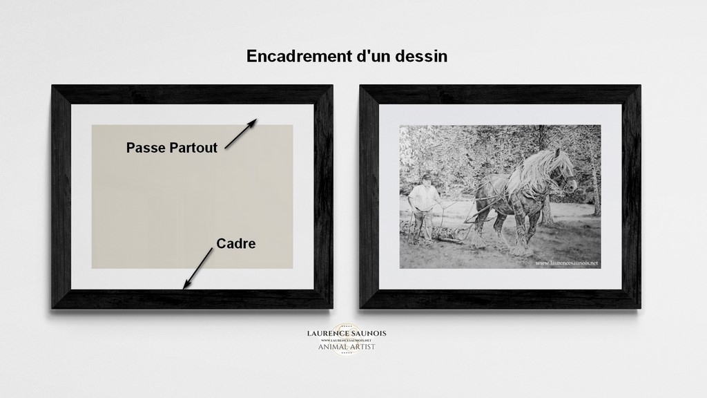 L'encadrement des dessins de la peintre animalier Laurence Saunois