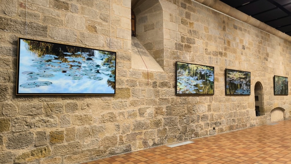 Nympheus Luminansis exhibition, Water Lilies of Light - Figeac, artist Laurence Saunois - paintings