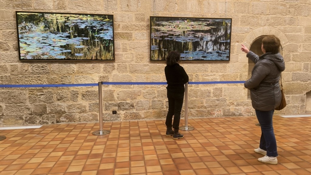 Nympheus Luminansis exhibition, Water Lilies of Light - Figeac, artist Laurence Saunois - visitors
