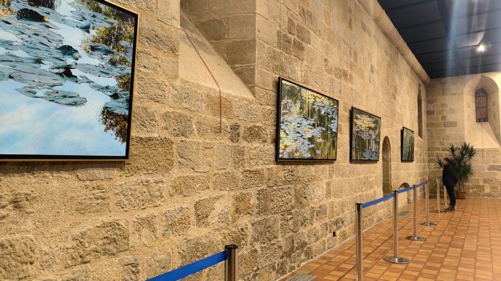 Nympheus Luminansis exhibition, Water Lilies of Light - Figeac, artist Laurence Saunois - visitor