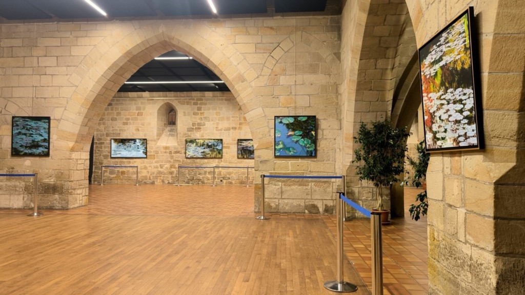 Nympheus Luminansis exhibition, Water Lilies of Light - Figeac, artist Laurence Saunois - palais