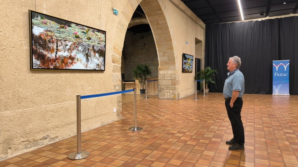 Nympheus Luminansis exhibition, Water Lilies of Light - Figeac, artist Laurence Saunois - visitor