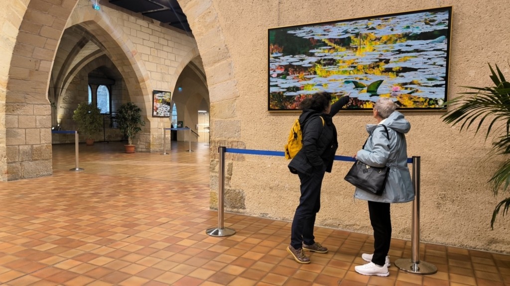 Nympheus Luminansis exhibition, Water Lilies of Light - Figeac, artist Laurence Saunois - visitors