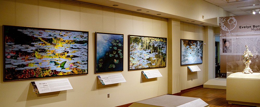 EXPOSITION THE EVELYN BURROW MUSEUM - Nympheus Luminansis - Laurence Saunois, Artiste