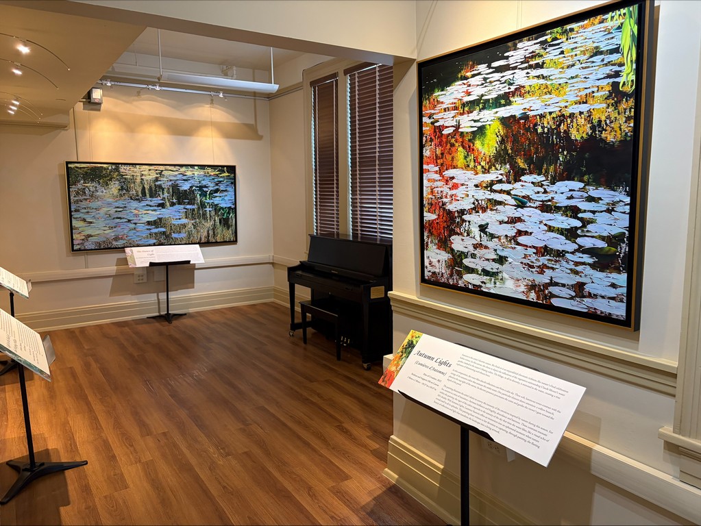 Exposition Nympheus Luminansis - HISTORIC CITY HALL ARTS & CULTURAL CENTER - Louisiane #1