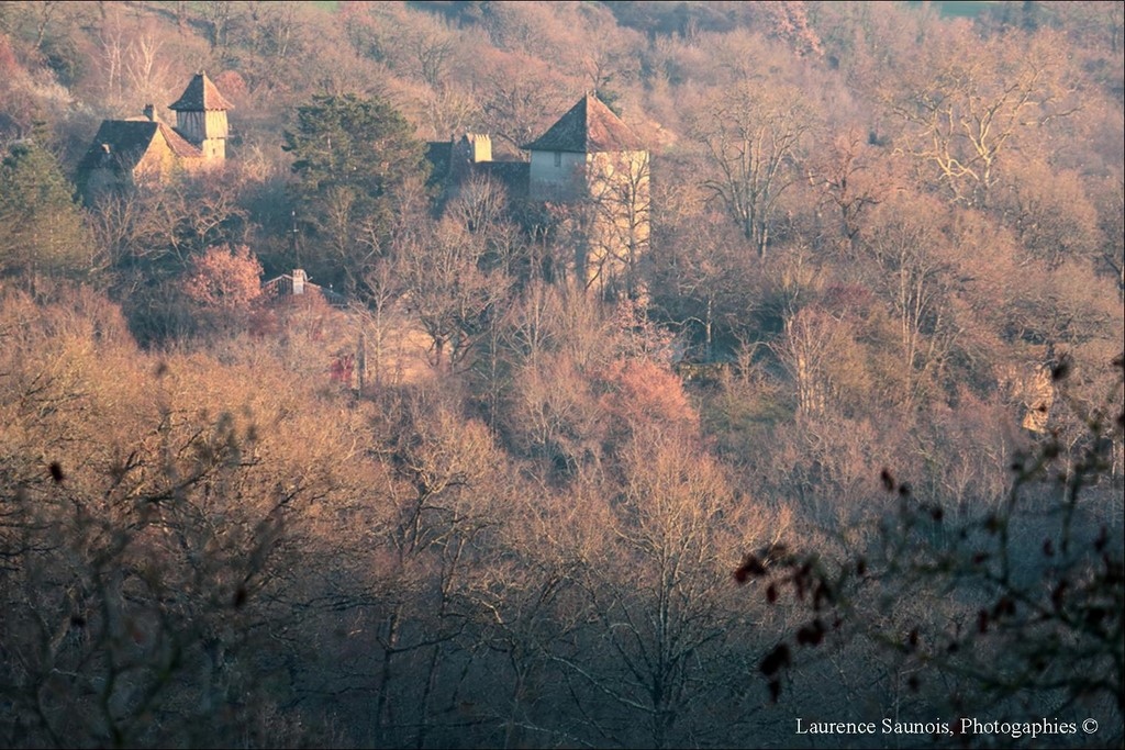 la vue depuis l'atelier de Laurence Saunois, artiste peintre animalier