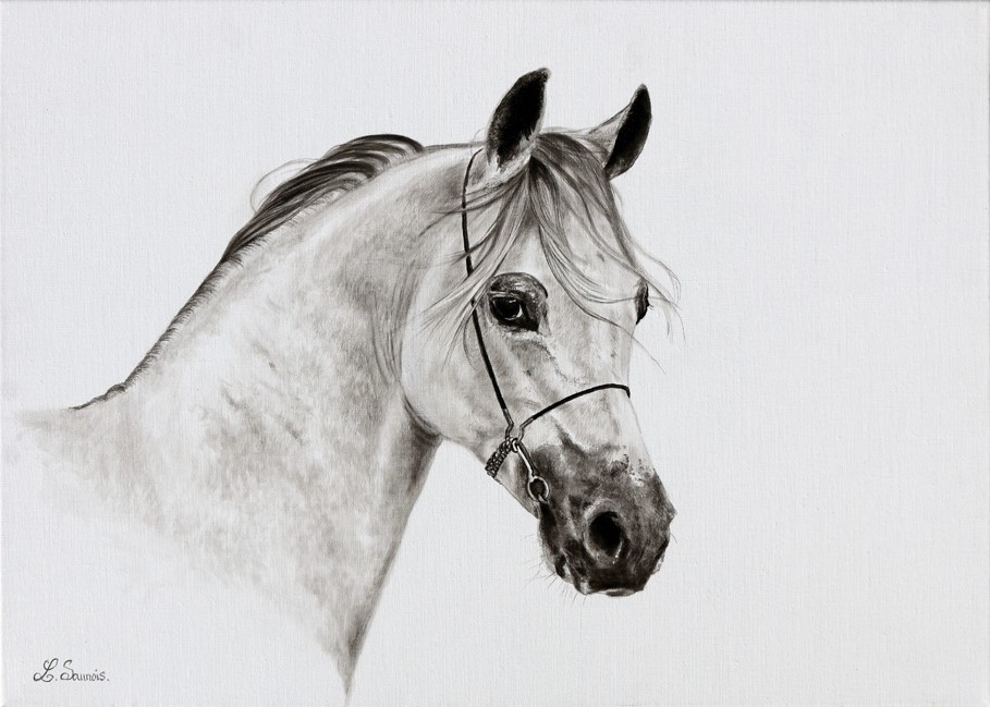 F... - Draw and Paint Realistic Horses by Jeanne Filler Scott | Facebook