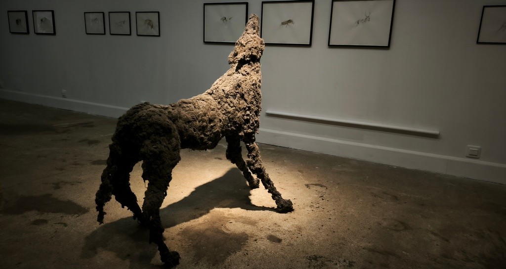 “Loup de Poussière” by Lionel Sabatté: A Meeting with Laurence Saunois, Wildlife Artist