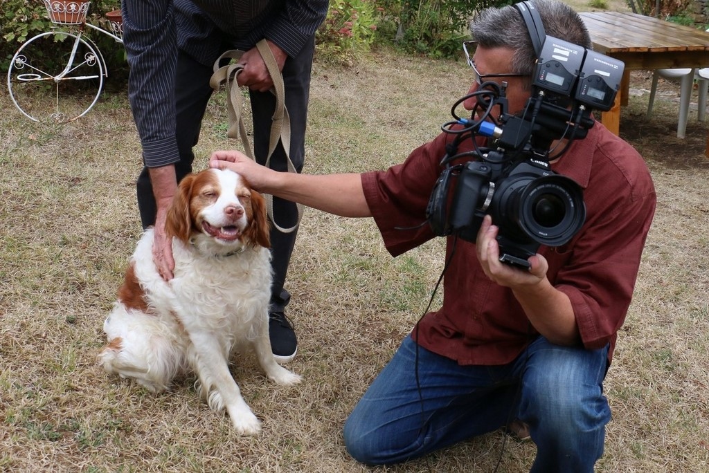 Tournage "c'est au programme" : peintre animalier Laurence Saunois