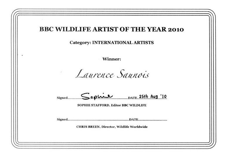 BBC Wildlife Artist of the year - Laurence Saunois, artiste peintre animalier