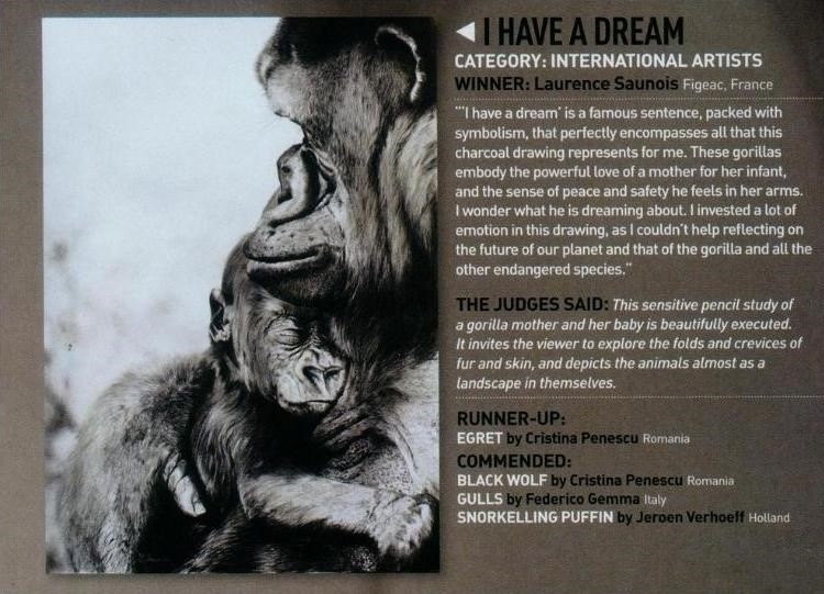BBC Wildlife Artist of the Year 2010 - Winner Laurence Saunois, animal artist