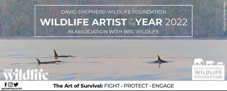 Exposition Wildlife Artist of the year