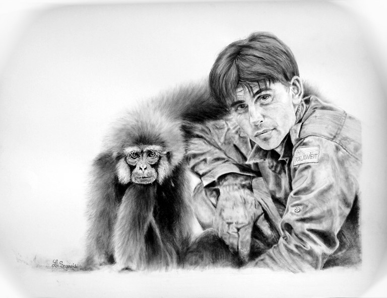 Dessin de chanee avec un gibbon par Laurence Saunois, Artiste peintre animalier