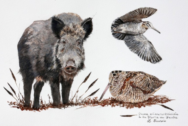 Dessin de sanglier et bécasses à la plume du peintre par la peintre animalier Laurence Saunois