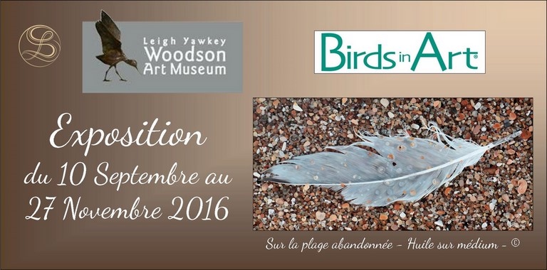 Exposition Birds in Art : peintre animalier Laurence Saunois