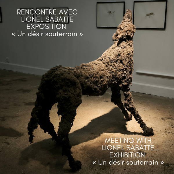 Loup de poussière de Lionel Sabatté - rencontre Laurence Saunois, artiste animalier
