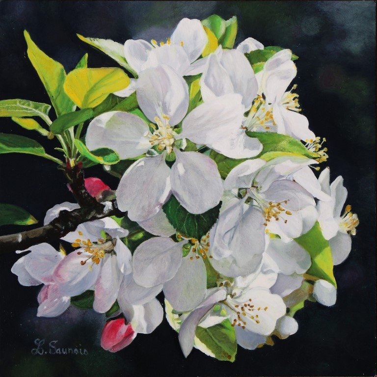 Peinture de fleurs de pommier de l'artiste peintre Laurence Saunois