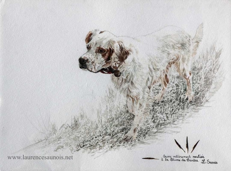 Click to enlarge Portrait realized with a woodcock feather (the pen of the painter) by Laurence Saunois, Animal artist