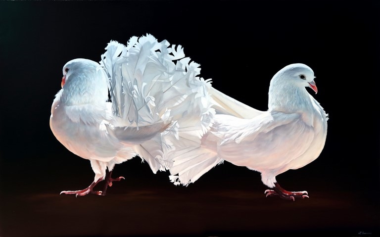 Tableau de pigeons blancs par Laurence Saunois, artiste