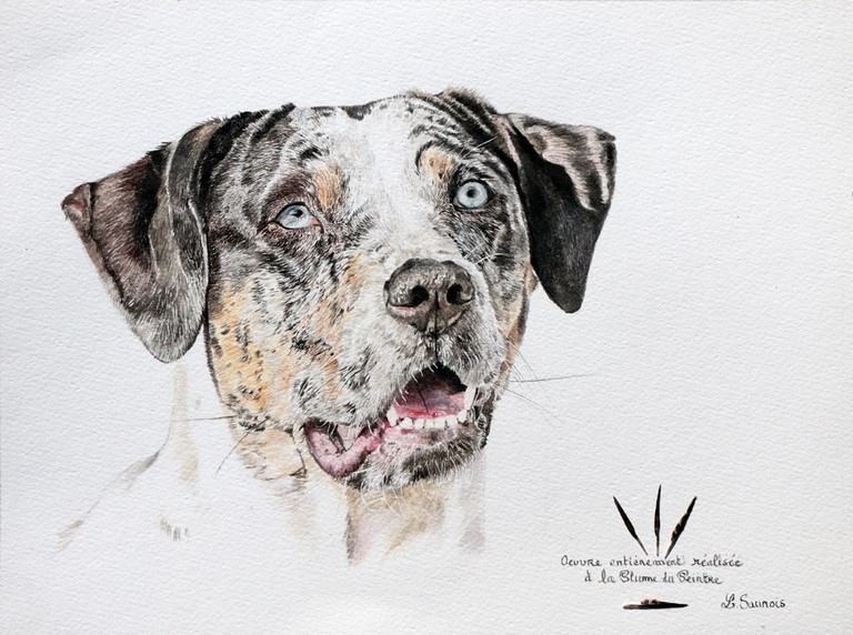 Cliquez pour agrandir