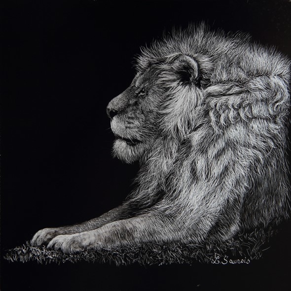 Scratchboard Art