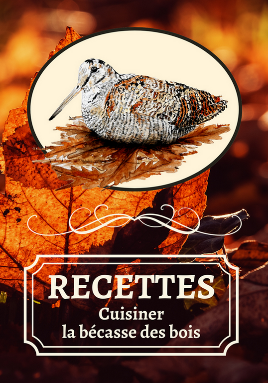 couverture du livre "recettes : cuisiner la bécasse des bois"