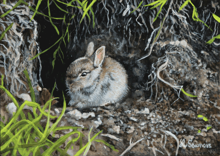 Rabbit miniature painting - animal artist Laurence Saunois