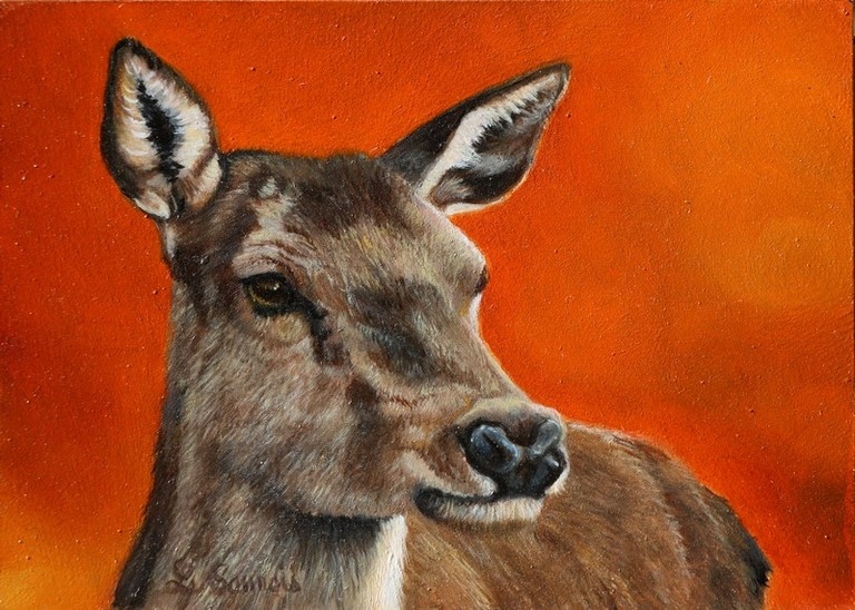 Miniature painting of a doe : wildlife artist Laurence Saunois