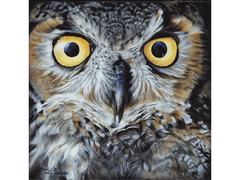 Peinture de hibou par Laurence Saunois, peintre animalier