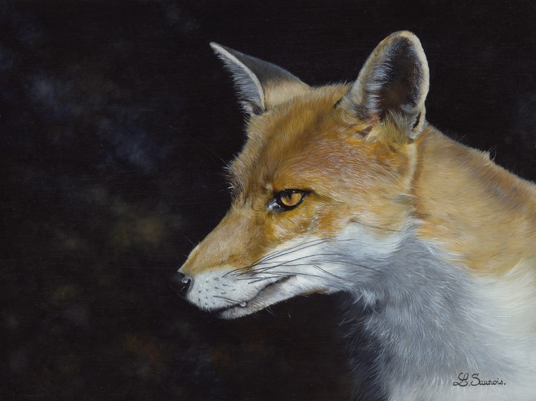 Peinture d'un portrait de renard roux par la peintre animalier Laurence Saunois