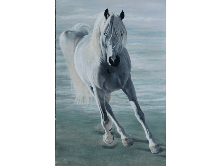 Peinture de cheval par Laurence Saunois, artiste peintre animalier