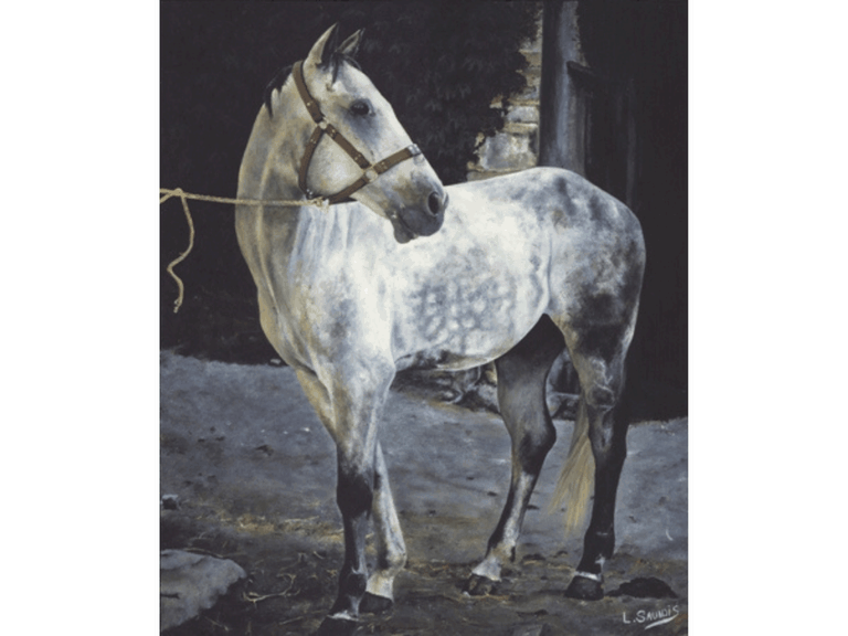 Tableau de cheval réalisé par Laurence Saunois, artiste animalier
