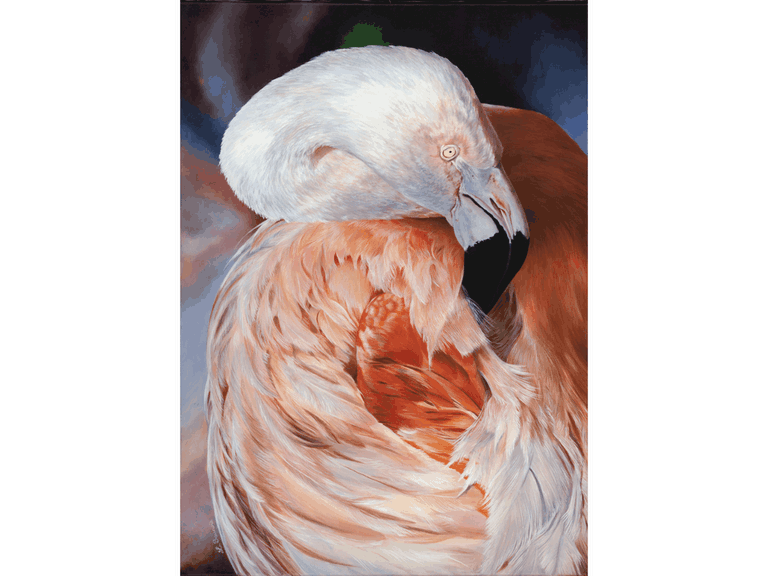 Peinture d'oiseau (flamant rose) par Laurence Saunois, peintre animalier