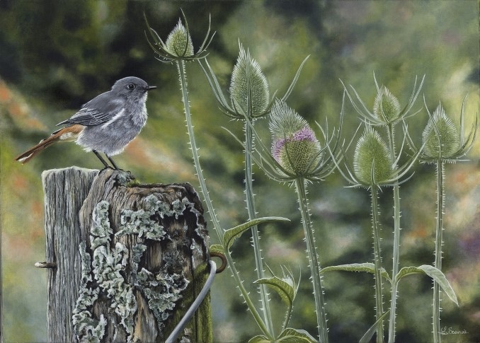 Bird painting by Laurence Saunois, wildlife artist