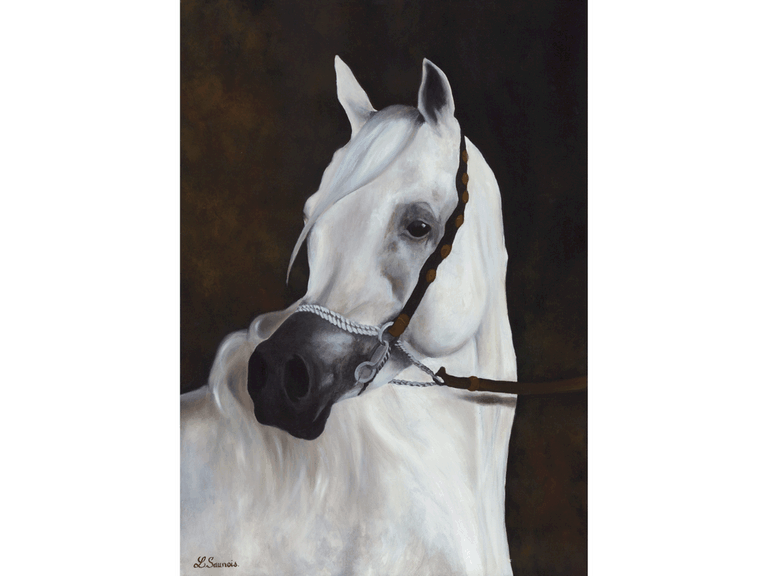 Peinture de cheval par Laurence Saunois, peintre animalier