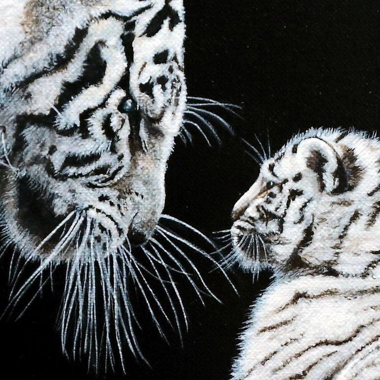Tableau de tigres blancs sur fond noir (détails) par la peintre animalier Laurence Saunois