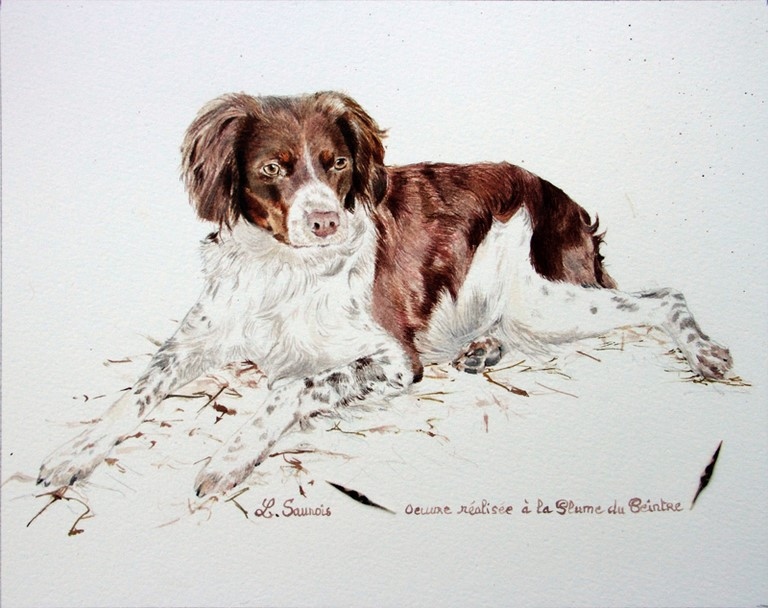 Portrait réalisé à la plume du peintre par Laurence Saunois, Artiste peintre animalier