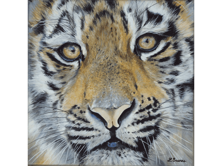 Peinture de tigre par Laurence Saunois, artiste peintre animalier