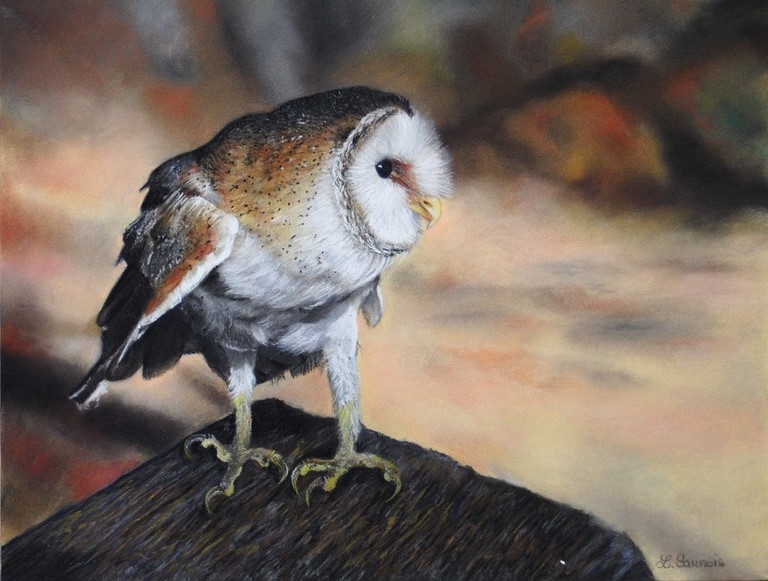 Bird painting by Laurence Saunois, wildlife artist