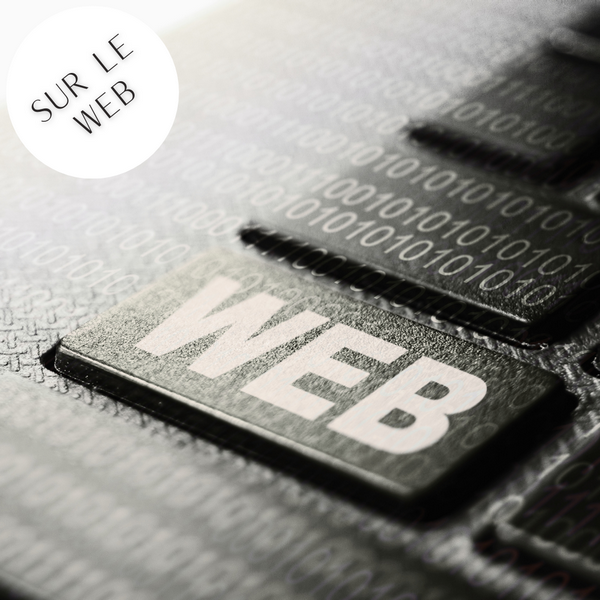 ILs parlent sur le web de l'exposition Nympheus Luminansis par Laurence Saunois, Artiste